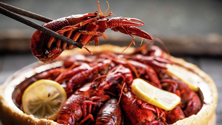 На Дону научились разводить австралийских раков