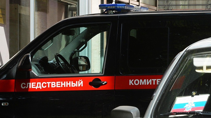 Уголовное дело об убийстве девятилетнего мальчика в Петербурге передадут в суд
